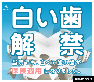 ハイブリッドセラミック｜お知らせ｜高木歯科医院｜西早稲田にある相談できる歯医者さん