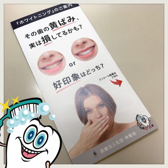 ホワイトニングのパンフレットが出来ました！